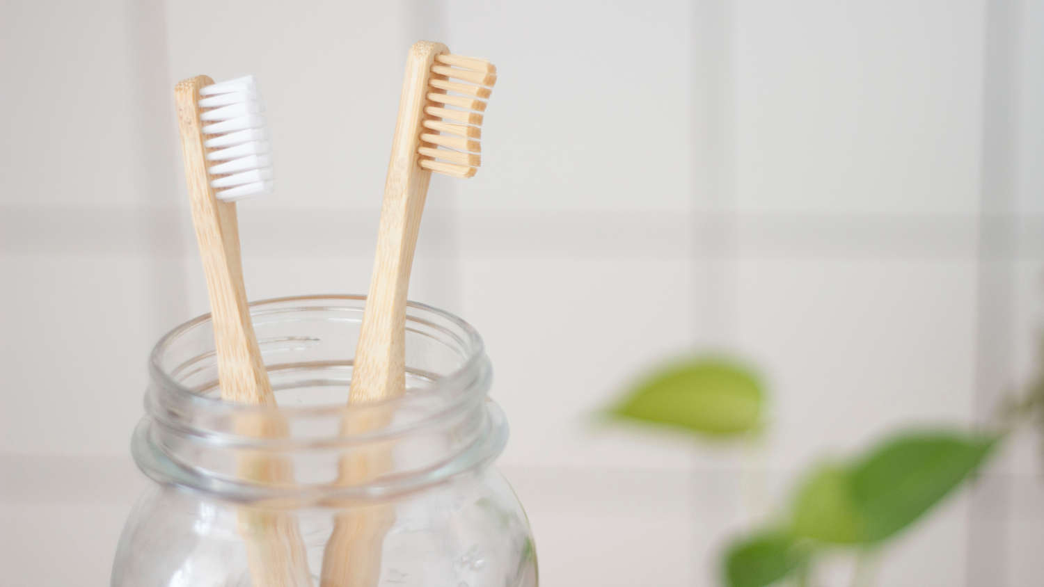 best eco friendly toothbrush