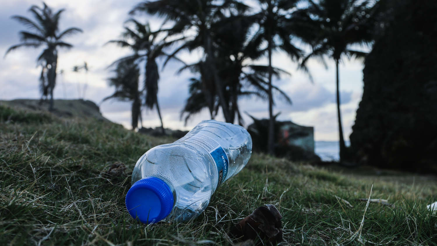 Why are plastic water bottles bad for the environment