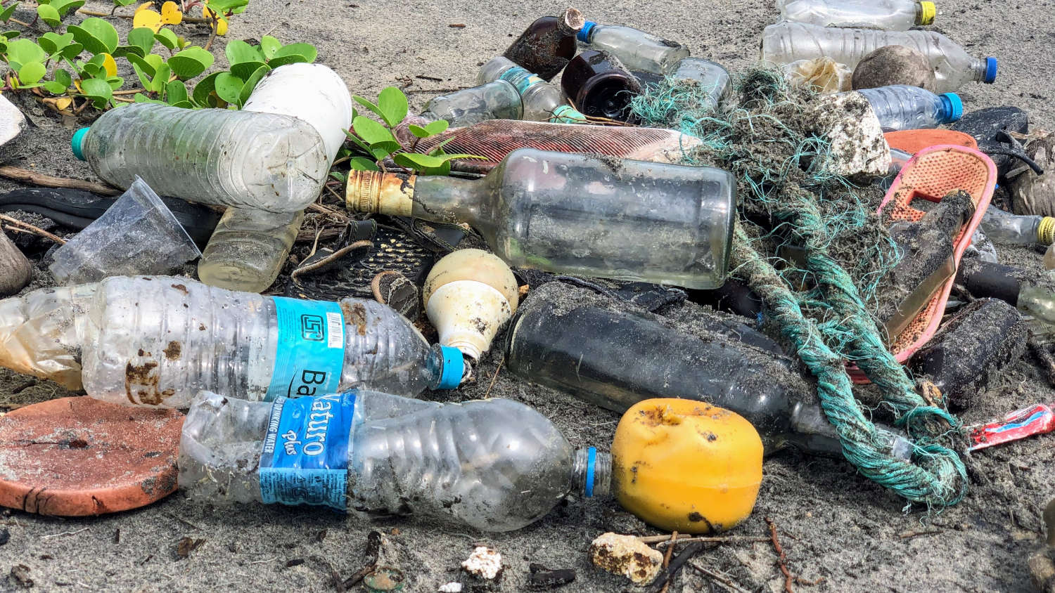 plastic water bottle pollution