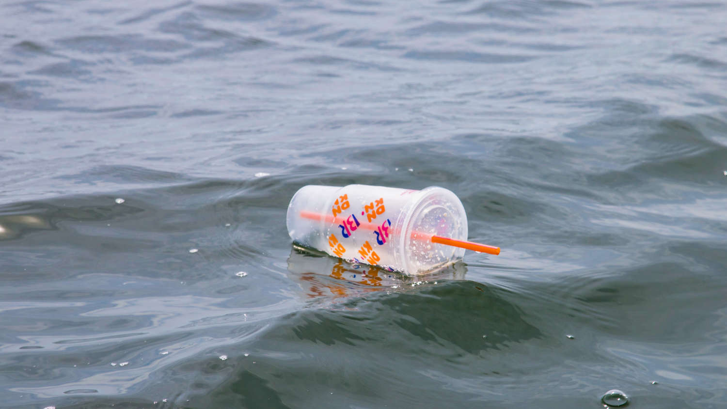 Why Are Plastic Straws Bad for the Environment & Should Be Banned