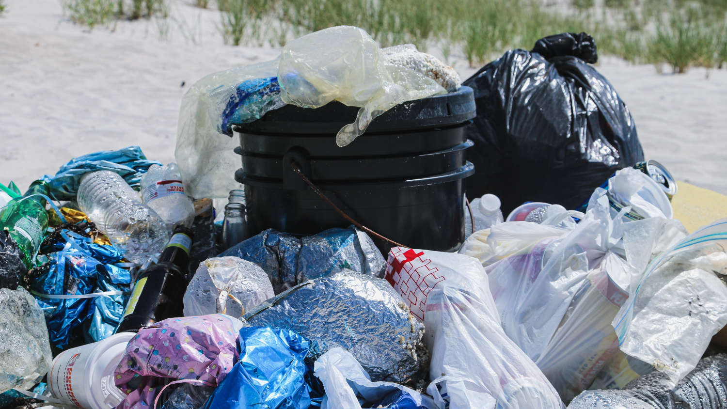 10 Facts About Single-use Plastic Bags