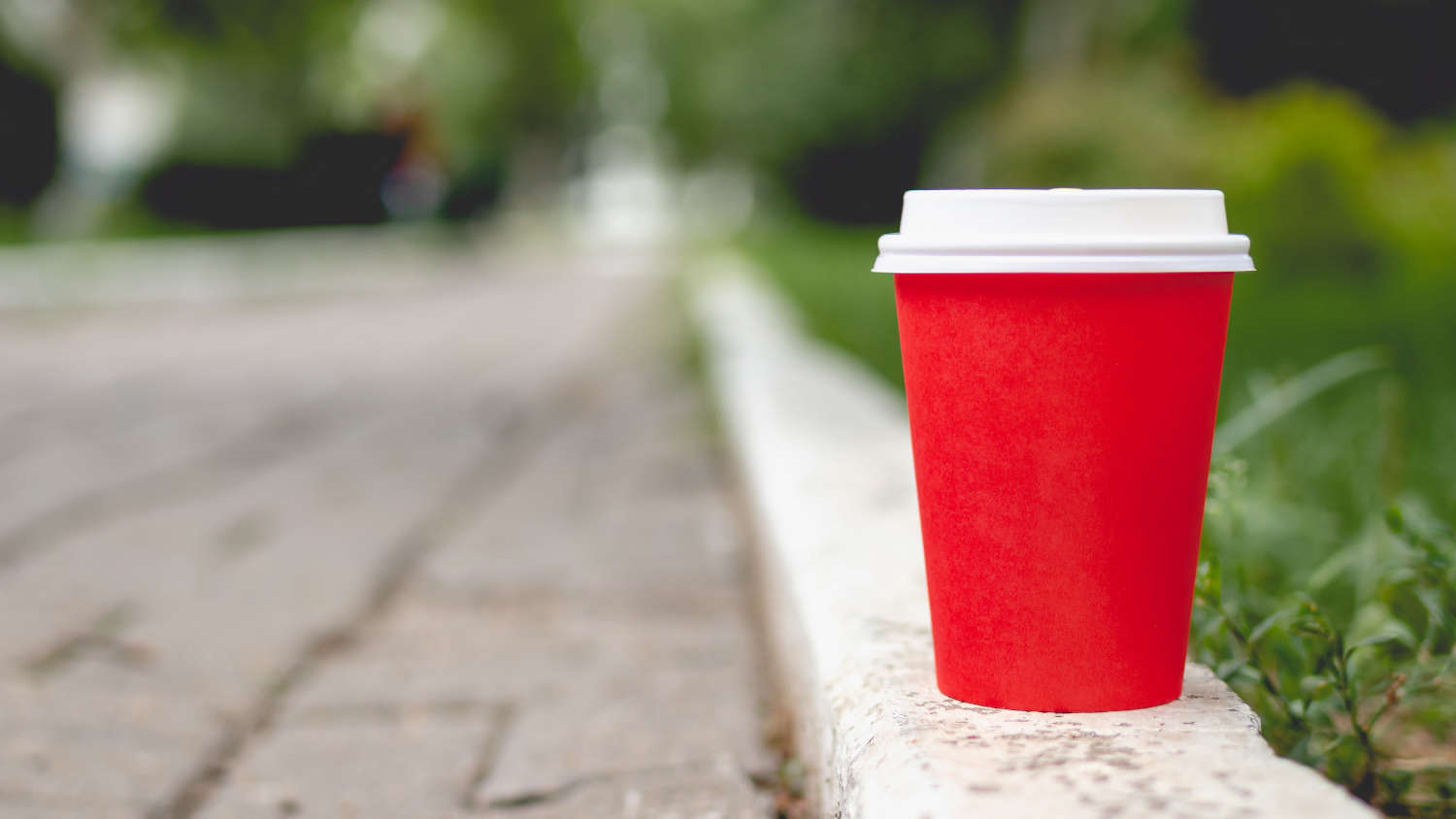 Environment Unfriendly Styrofoam Plates Cups Disposed Plastic