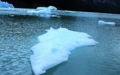 Polar Ice Caps Melting Facts: 14 Statistics About Melting Glaciers