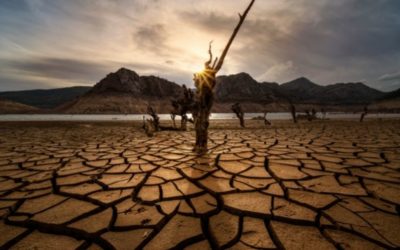 Water Scarcity Facts: 19 Statistics About The Global Water Crisis