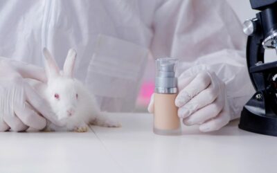 Animal Testing Facts: 14 Shocking Statistics On Animal Testing.