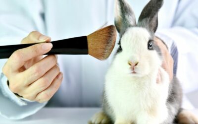 Animal Testing In Makeup and Cosmetics: Your Complete Guide