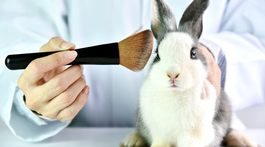 makeup animal testing