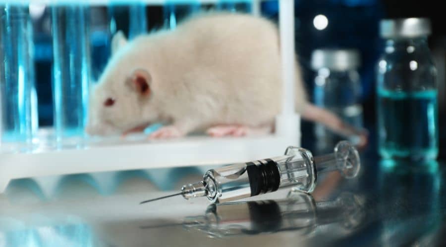 alternatives for animal testing