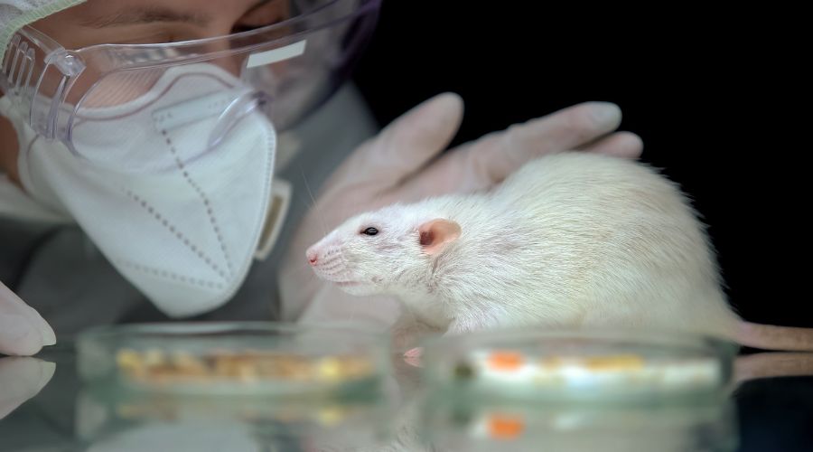 reasons against animal testing