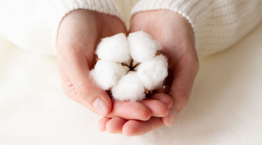 sustainable cotton